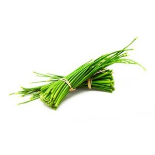 THE BASKET ONION FLOWER KG