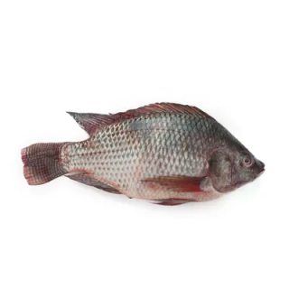 TELAPIA FISH THE BASKET (SP) KG