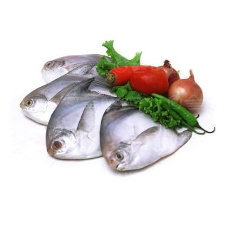 THE BASKET WHITE CHANDA ( BIG) KG