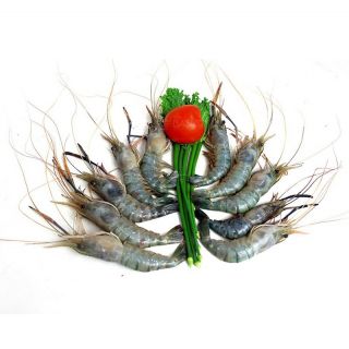 THE BASKET GOLDA FISH (SMALL) KG