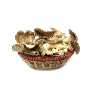 THE BASKET MUSHROOM KG