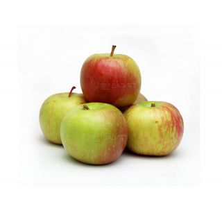 THE BASKET FUJI APPLE (SP) KG