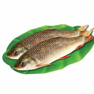 THE BASKET RUI FISH (MEDIUM)  KG