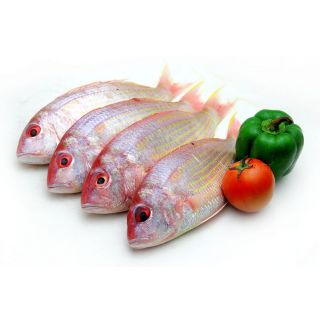 THE BASKET SONALI POA FISH KG