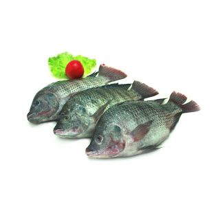 THE BASKET TELAPIA FISH ( BIG) KG