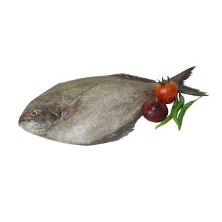 THE BASKET BLACK CHANDA FISH (MEDIUM) KG