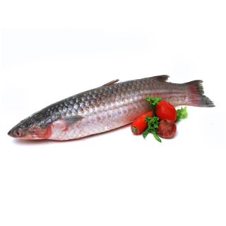 THE BASKET KHOROL BATA FISH (MEDIUM)  KG