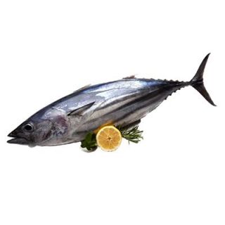 THE BASKET TUNA FISH KG