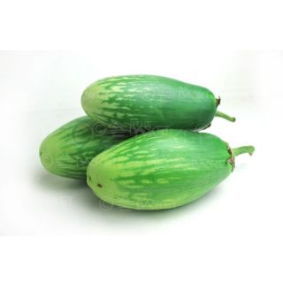 THE BASKET BRINJAL (ROUND )KG