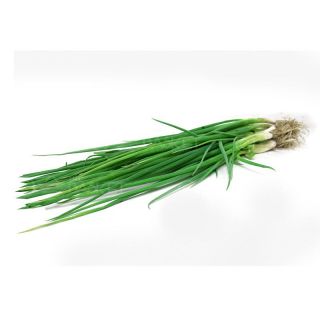 THE BASKET SPRING ONION KG