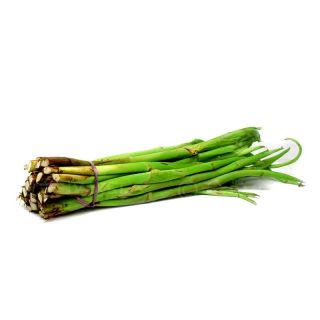 THE BASKET TARO STOLN (KOCHUR LOTTI) KG