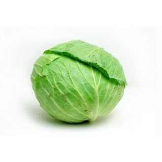 CABBAGE 1 PCS