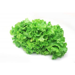 THE BASKET LEAF LETTUCE KG