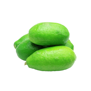 THE BASKET LEMON (BIG) 1 PCS