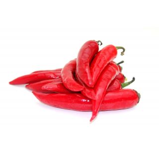 THE BASKET SHIMLA CHILLI KG
