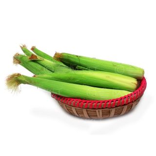 THE BASKET BABY CORN 1 PACK