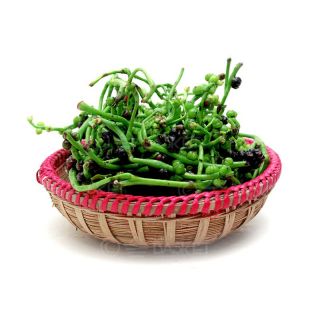 THE BASKET PUI SPINACH SEED KG