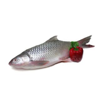THE BASKET MIRKA FISH (MEDIUM) KG