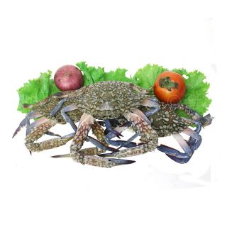 THE BASKET CRABS (BLUE) KG