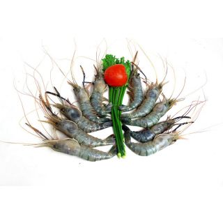 THE BASKET GOLDA FISH (MEDIUM)  KG