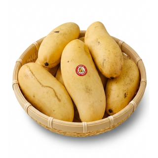 BANANA MANGO (SP) THE BASKET PER KG