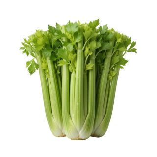 CELERY THE BASKET PER KG