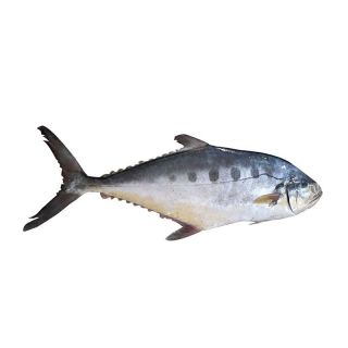 THE BASKET CHAPA SURMA FISH ( BIG) KG
