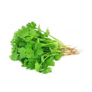 CORIANDER LEAF HYBRID PER KG