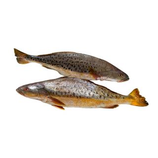 FUL POA FISH THE BASKET 1 KG