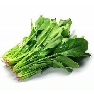 PAKCHAI SPINACH THE BASKET KG