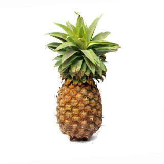 THE BASKET PINEAPPLE (SP) KG