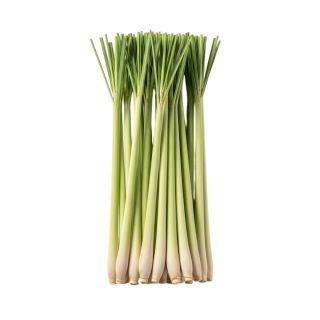 LEMON GRASS THE BASKET PER KG