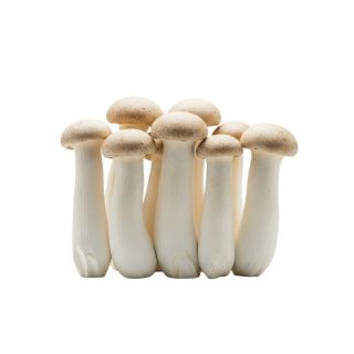 MUSHROOM THE BASKET ERINGI PER KG