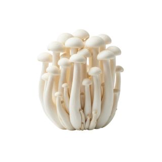 MUSHROOM THE BASKET SHIMIJI PER KG