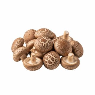 MUSHROOM THE BASKET SHITAKI PER KG