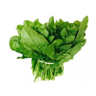 PALANK SPINACH 1 BUNCH