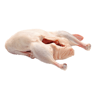 THE BASKET DUCK 1 PC (LOCAL)