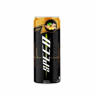 SOFT DRINKS SPEED 250 ML GINGER (CAN)