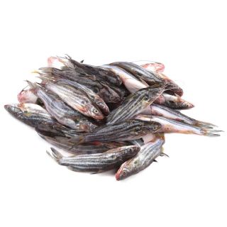 THE BASKET TANGRA FISH KG