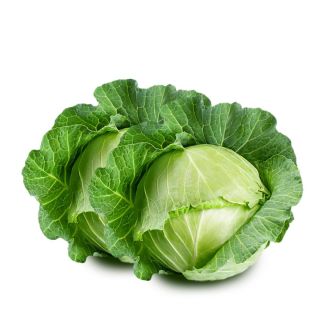 THE BASKET CABBAGE KG